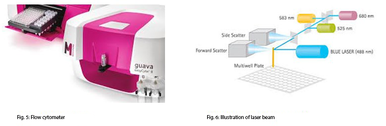 laser streuung durchflusszytometer abbildung5 6 1 ENG
