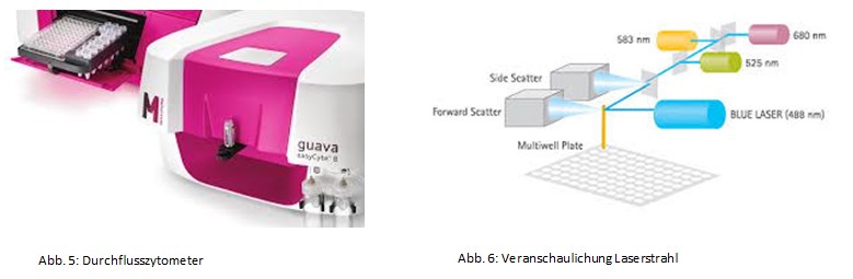 laser streuung durchflusszytometer abbildung5 6