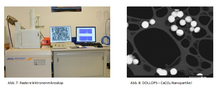 microscopio elettronico a scansione dollop immagine7 8