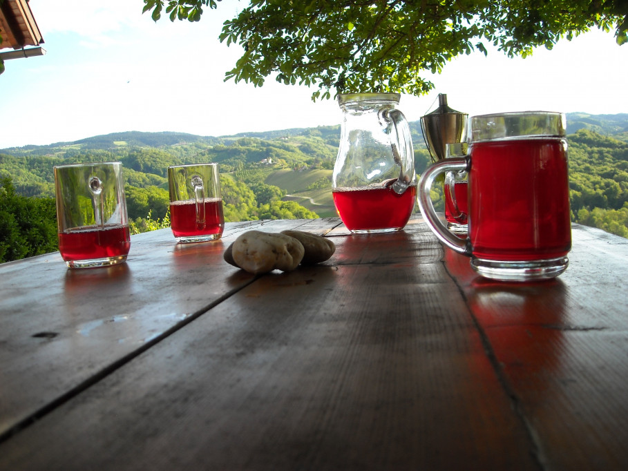 Himbeerhof Renner - raspberries, wine, pumpkin and much more