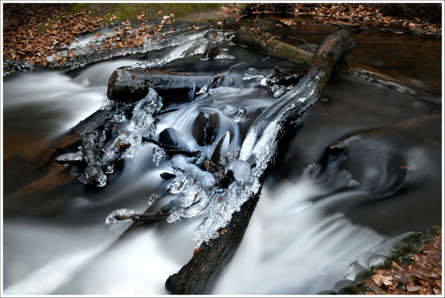 Photo d&#039;eau GRANDER du mois 2/2020