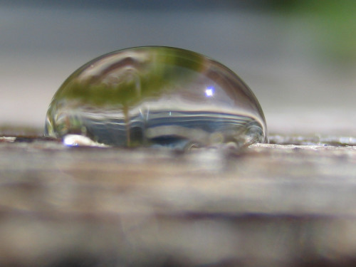 L&#039;acqua segue proprie regole