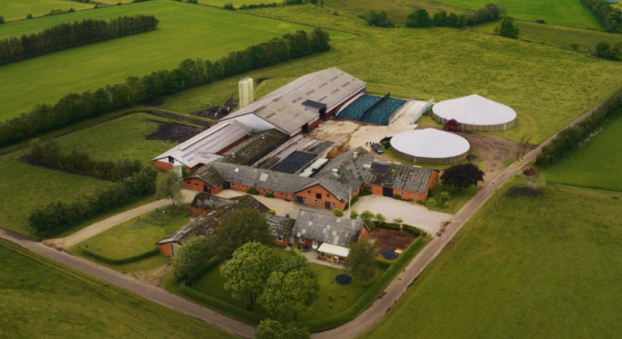 Organic Farm in Denmark