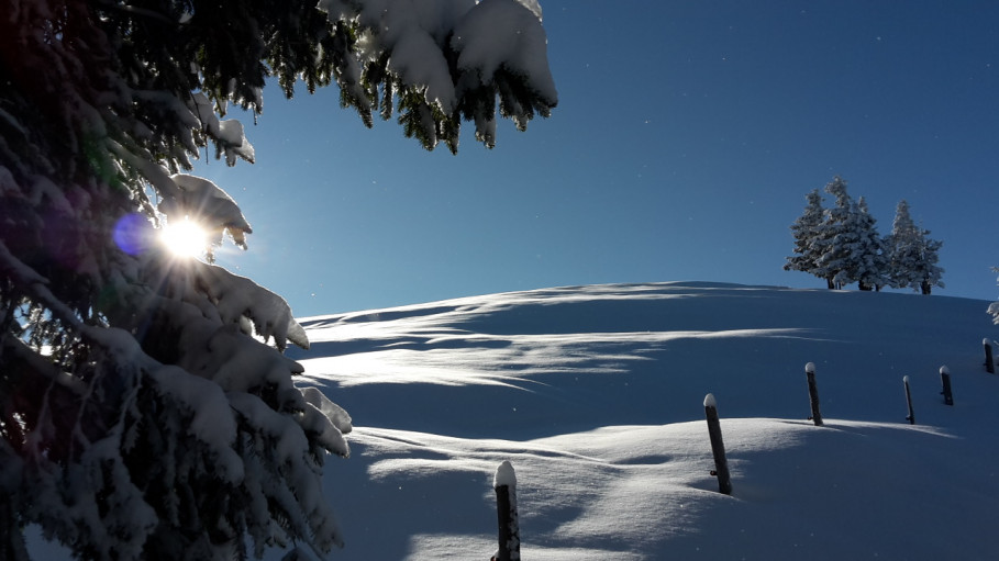 Photo d&#039;eau GRANDER du mois 12/2019