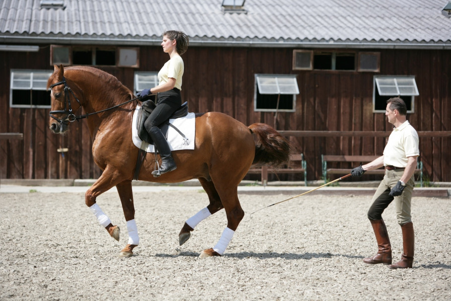 Centre de dressage St. Lukas : atmosphère douillette pour cavaliers de loisir et de compétition