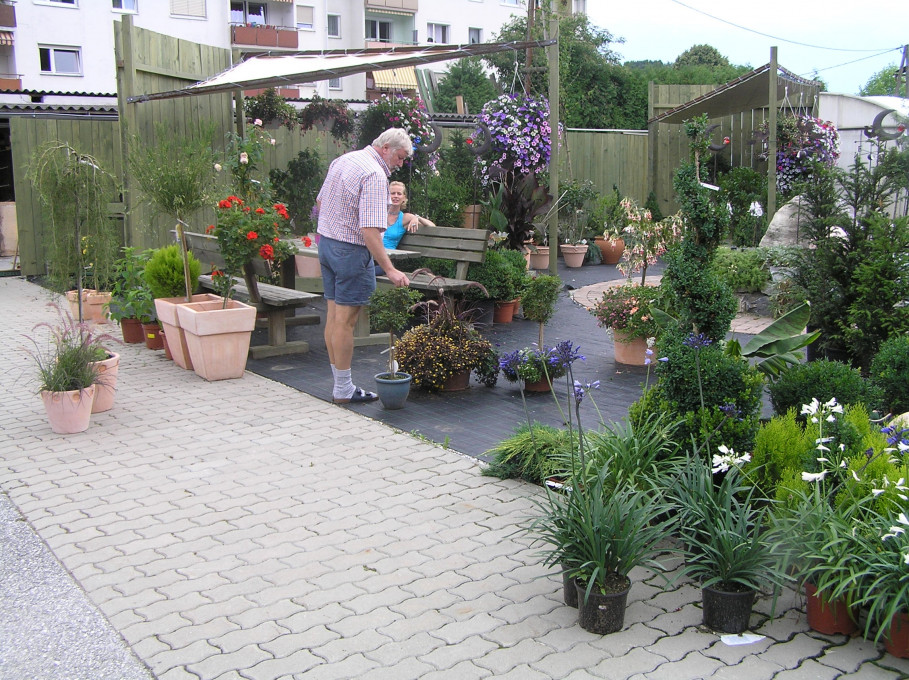 Mozart und GRANDER-Wasser lassen Blumen besser blühen