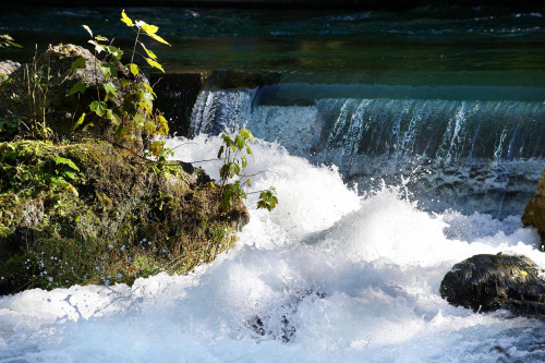 Eau 	GRANDER  : source de joie de vivre