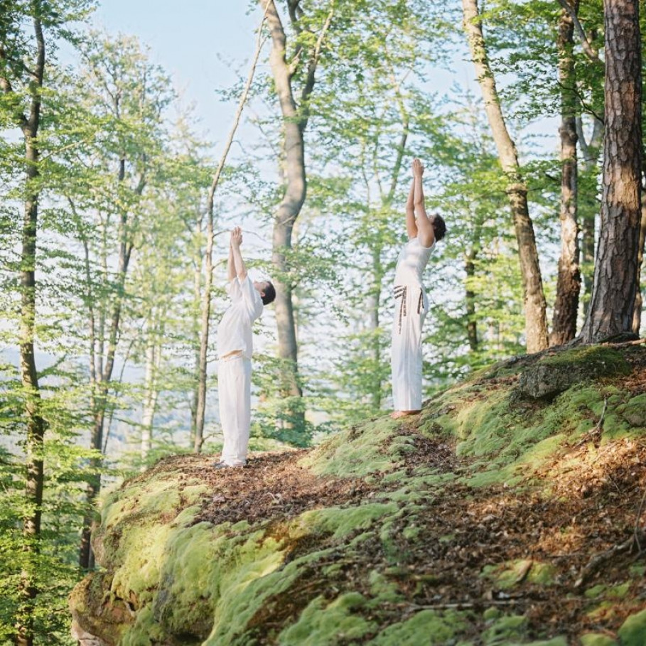 La Clairière - im Herzen des Naturparks Nordvogesen im Elsass - ist nach GRANDER belebt!