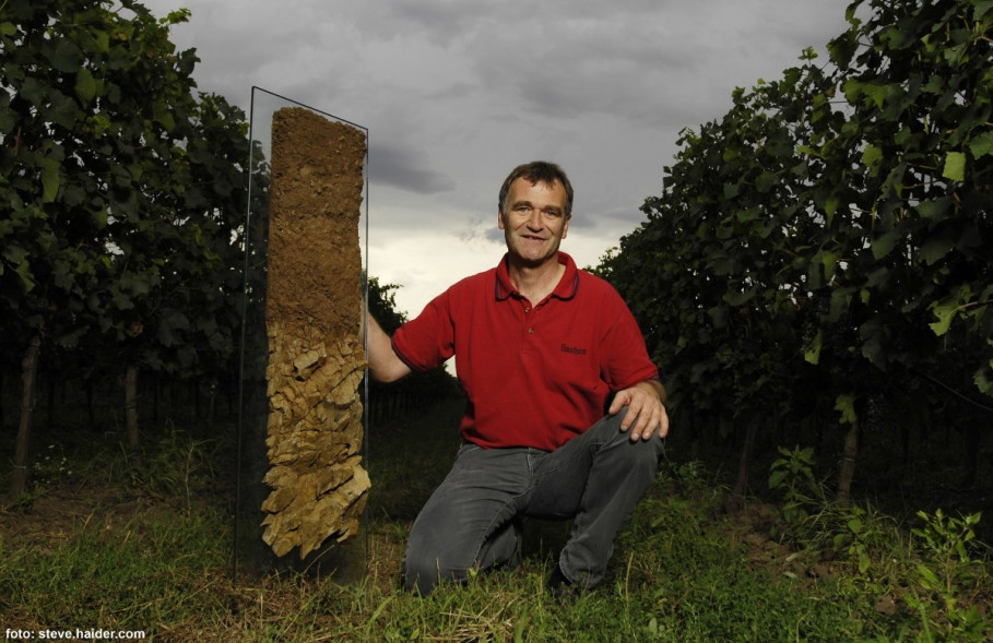 Vin Umathum : de la nourriture pour l&#039;âme