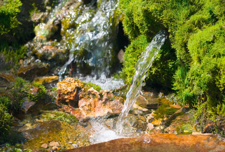 Protection de l&#039;environnement et conservation des ressources | gastro / spa / sport / établissements médicaux