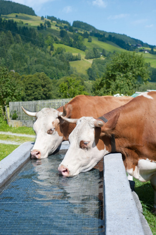 Vitalität & Wohlbefinden | Gewerbe / Industrie / Landwirtschaft