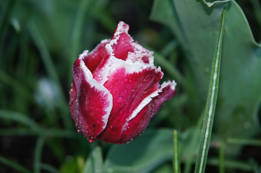 GRANDER-Wasserfoto des Monats 4/2020