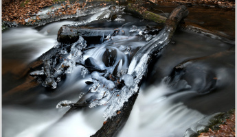 GRANDER®-Wasserfoto des Monats 2/2020