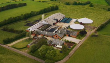 Organic Farm in Denmark