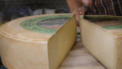 Cream of the Crop: Naturkäserei TegernseerLand Organic Cheesery